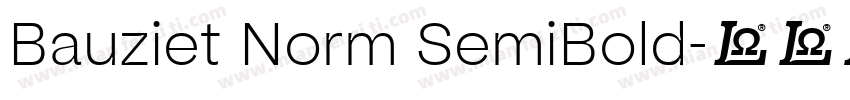 Bauziet Norm SemiBold字体转换
